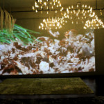 撮影機材のプロジェクターで美しだされた映像はアイデア次第で様々な用途でご利用していただけます。 【都内撮影スタジオ格安】